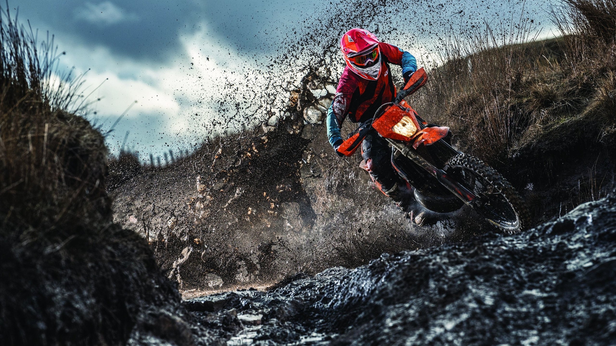 斯滕伯根决赛表现引发热议，斯滕伯格的书